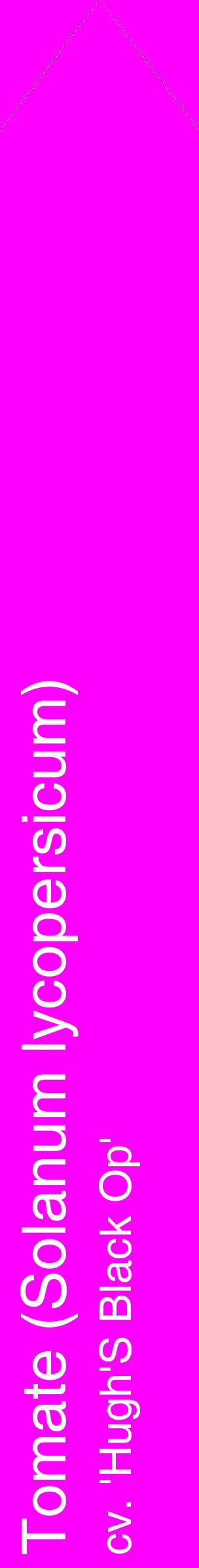 Étiquette de : Solanum lycopersicum cv. 'Hugh'S Black Op' - format c - style blanche51_simplehel avec comestibilité