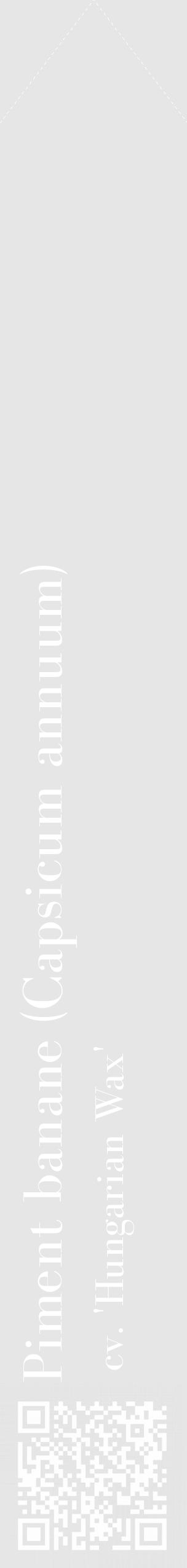 Étiquette de : Capsicum annuum cv. 'Hungarian Wax' - format c - style blanche18_simple_simplebod avec qrcode et comestibilité - position verticale