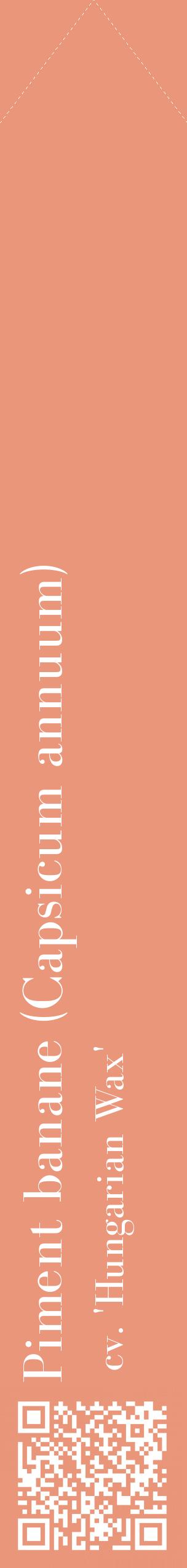 Étiquette de : Capsicum annuum cv. 'Hungarian Wax' - format c - style blanche37_simplebod avec qrcode et comestibilité