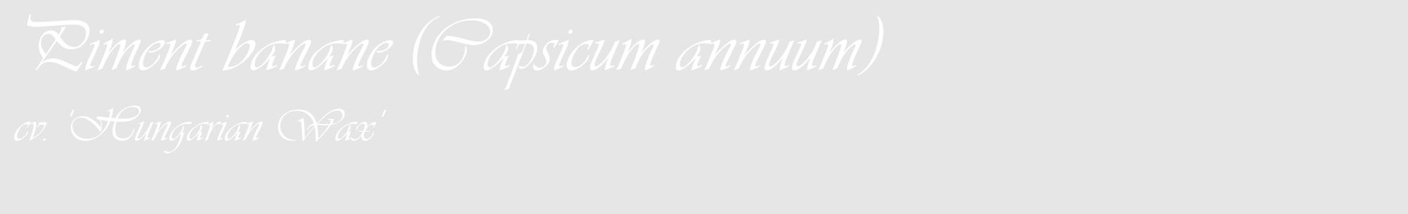 Étiquette de : Capsicum annuum cv. 'Hungarian Wax' - format c - style blanche18_basique_basiqueviv avec comestibilité
