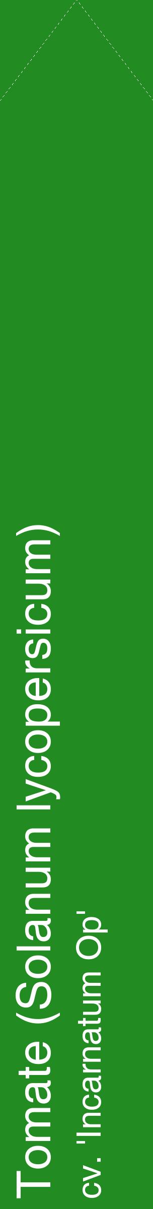 Étiquette de : Solanum lycopersicum cv. 'Incarnatum Op' - format c - style blanche10_simplehel avec comestibilité