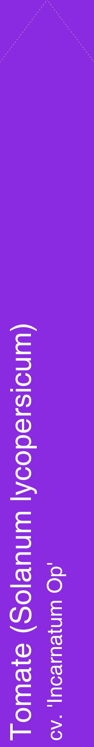 Étiquette de : Solanum lycopersicum cv. 'Incarnatum Op' - format c - style blanche49_simplehel avec comestibilité
