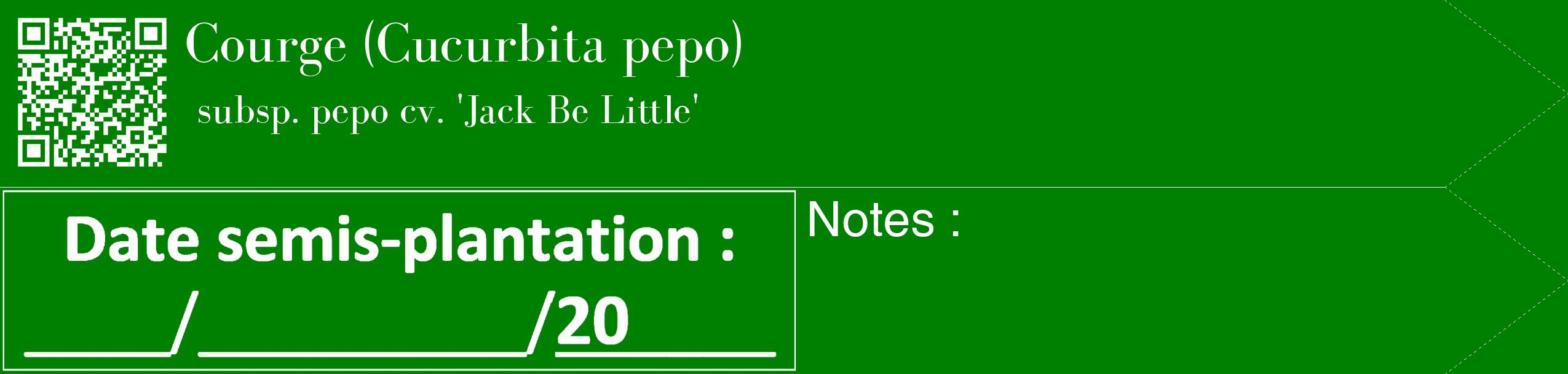 Étiquette de : Cucurbita pepo subsp. pepo cv. 'Jack Be Little' - format c - style blanche9_simple_simplebod avec qrcode et comestibilité