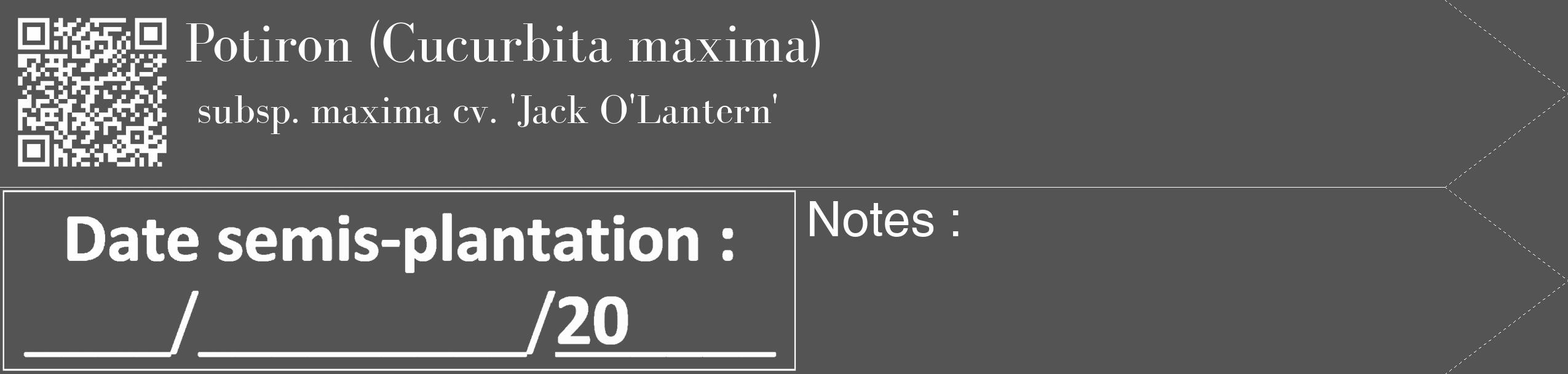 Étiquette de : Cucurbita maxima subsp. maxima cv. 'Jack O'Lantern' - format c - style blanche30_simple_simplebod avec qrcode et comestibilité