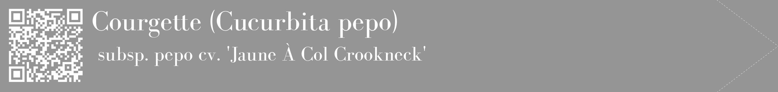 Étiquette de : Cucurbita pepo subsp. pepo cv. 'Jaune À Col Crookneck' - format c - style blanche16_simple_simplebod avec qrcode et comestibilité