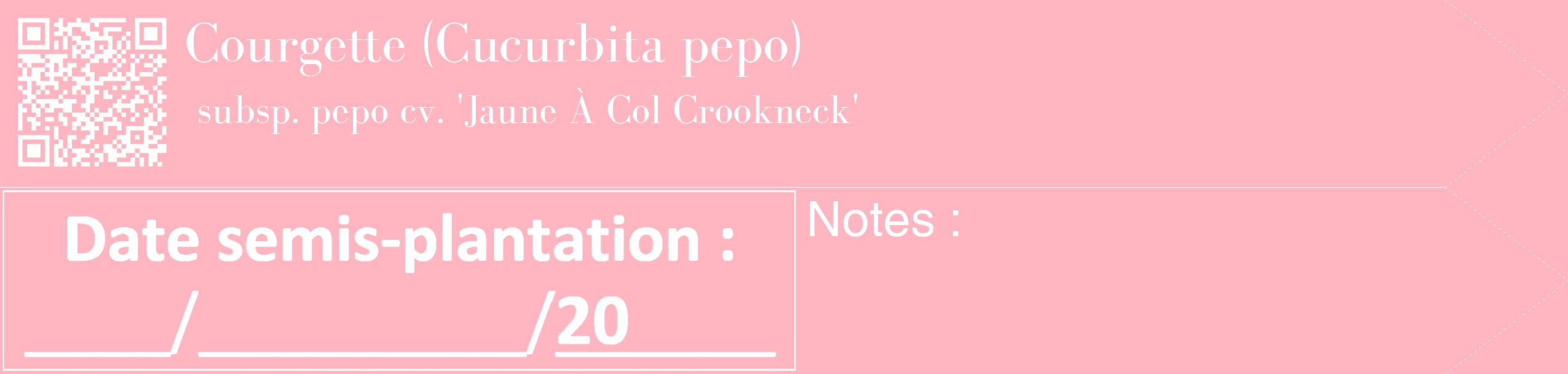 Étiquette de : Cucurbita pepo subsp. pepo cv. 'Jaune À Col Crookneck' - format c - style blanche41_simple_simplebod avec qrcode et comestibilité