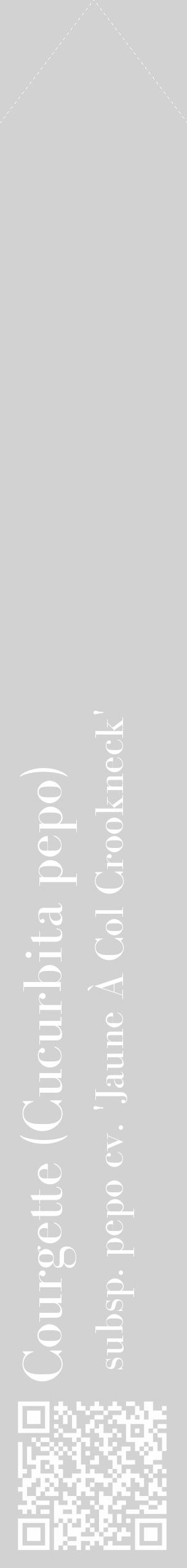 Étiquette de : Cucurbita pepo subsp. pepo cv. 'Jaune À Col Crookneck' - format c - style blanche14_simple_simplebod avec qrcode et comestibilité - position verticale