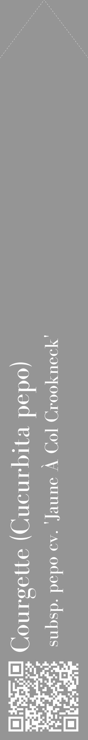Étiquette de : Cucurbita pepo subsp. pepo cv. 'Jaune À Col Crookneck' - format c - style blanche16_simple_simplebod avec qrcode et comestibilité - position verticale