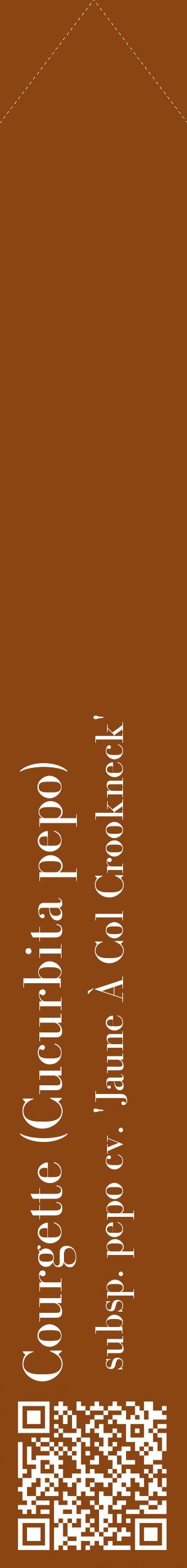 Étiquette de : Cucurbita pepo subsp. pepo cv. 'Jaune À Col Crookneck' - format c - style blanche30_simplebod avec qrcode et comestibilité