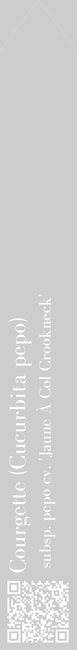 Étiquette de : Cucurbita pepo subsp. pepo cv. 'Jaune À Col Crookneck' - format c - style blanche41_simple_simplebod avec qrcode et comestibilité - position verticale