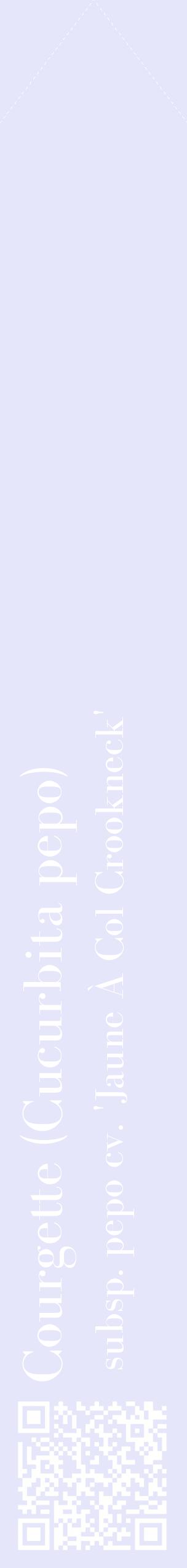 Étiquette de : Cucurbita pepo subsp. pepo cv. 'Jaune À Col Crookneck' - format c - style blanche55_simplebod avec qrcode et comestibilité