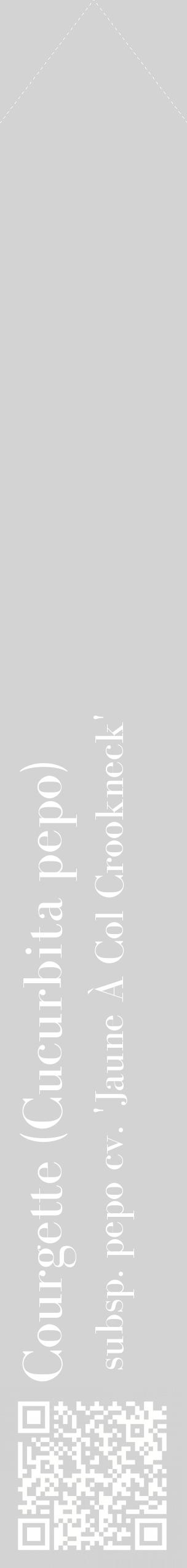 Étiquette de : Cucurbita pepo subsp. pepo cv. 'Jaune À Col Crookneck' - format c - style blanche56_simplebod avec qrcode et comestibilité