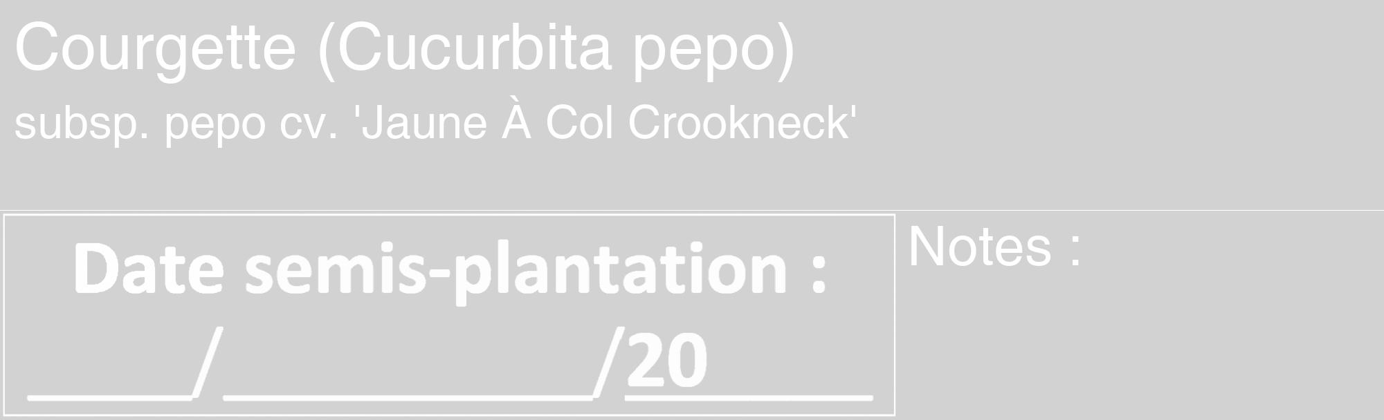 Étiquette de : Cucurbita pepo subsp. pepo cv. 'Jaune À Col Crookneck' - format c - style blanche14_basique_basiquehel avec comestibilité