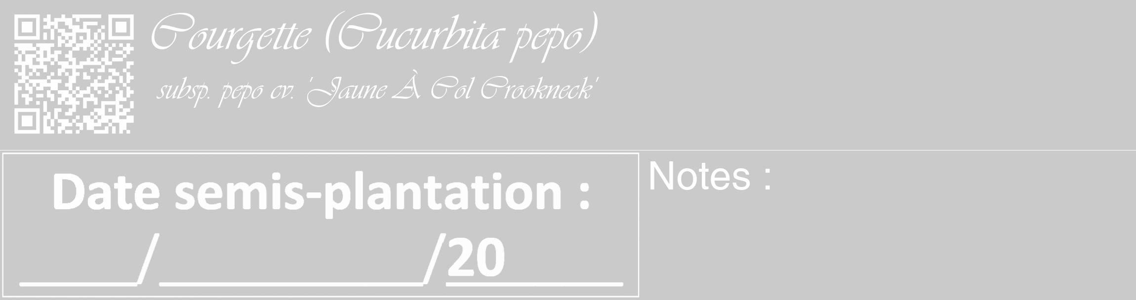 Étiquette de : Cucurbita pepo subsp. pepo cv. 'Jaune À Col Crookneck' - format c - style blanche21_basique_basiqueviv avec qrcode et comestibilité