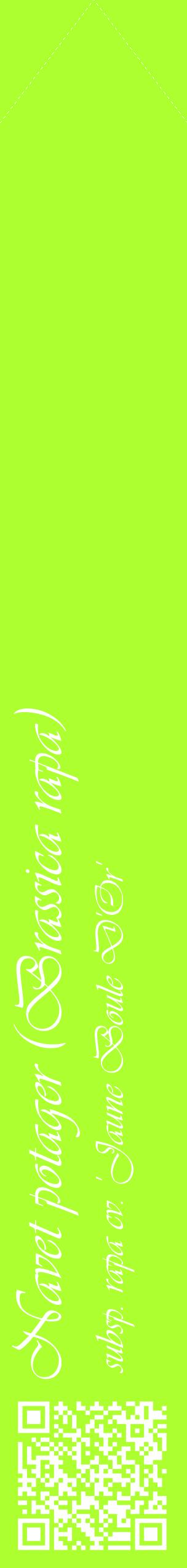 Étiquette de : Brassica rapa subsp. rapa cv. 'Jaune Boule D'Or' - format c - style blanche17_simpleviv avec qrcode et comestibilité