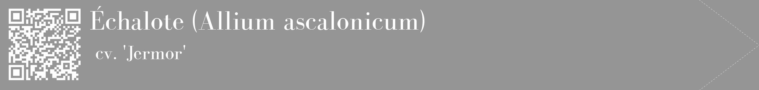 Étiquette de : Allium ascalonicum cv. 'Jermor' - format c - style blanche16_simple_simplebod avec qrcode et comestibilité