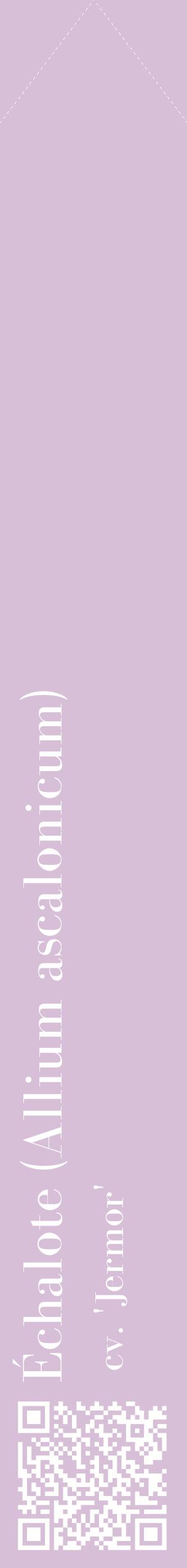 Étiquette de : Allium ascalonicum cv. 'Jermor' - format c - style blanche54_simplebod avec qrcode et comestibilité