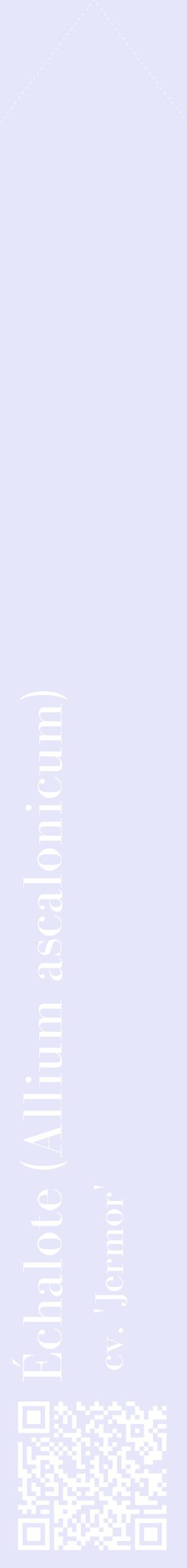 Étiquette de : Allium ascalonicum cv. 'Jermor' - format c - style blanche55_simplebod avec qrcode et comestibilité