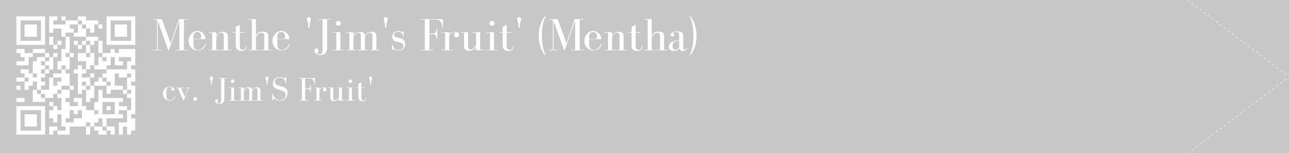 Étiquette de : Mentha cv. 'Jim'S Fruit' - format c - style blanche15_simple_simplebod avec qrcode et comestibilité