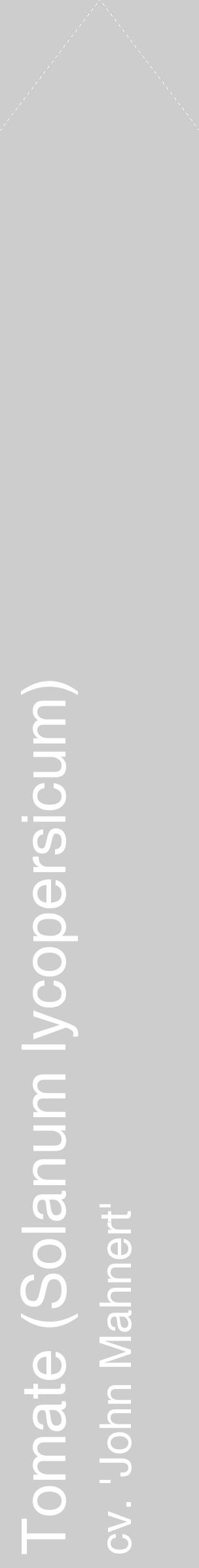 Étiquette de : Solanum lycopersicum cv. 'John Mahnert' - format c - style blanche41_simple_simplehel avec comestibilité - position verticale