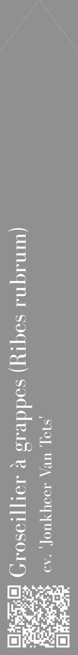 Étiquette de : Ribes rubrum cv. 'Jonkheer Van Tets' - format c - style blanche4_simple_simplebod avec qrcode et comestibilité - position verticale