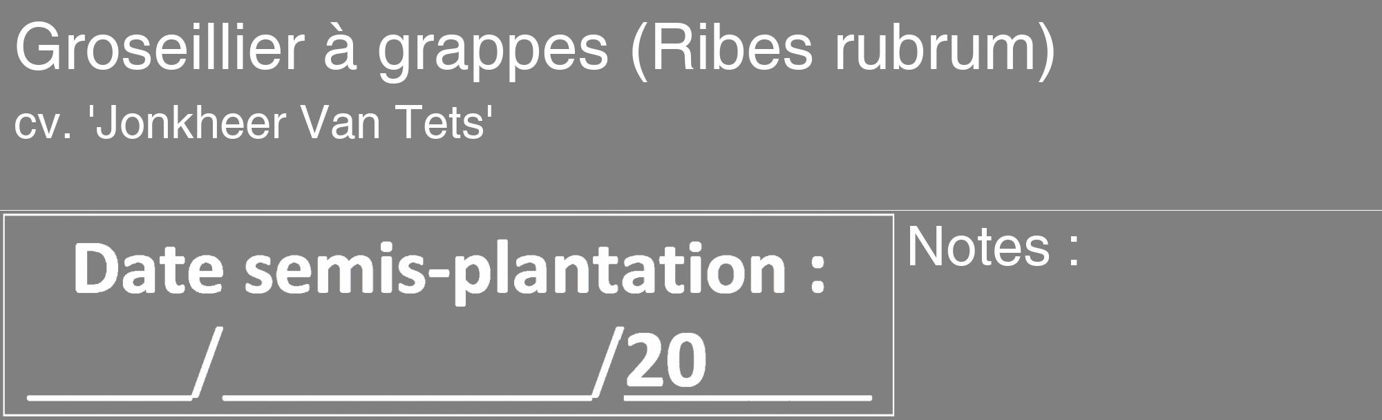 Étiquette de : Ribes rubrum cv. 'Jonkheer Van Tets' - format c - style blanche57_basique_basiquehel avec comestibilité