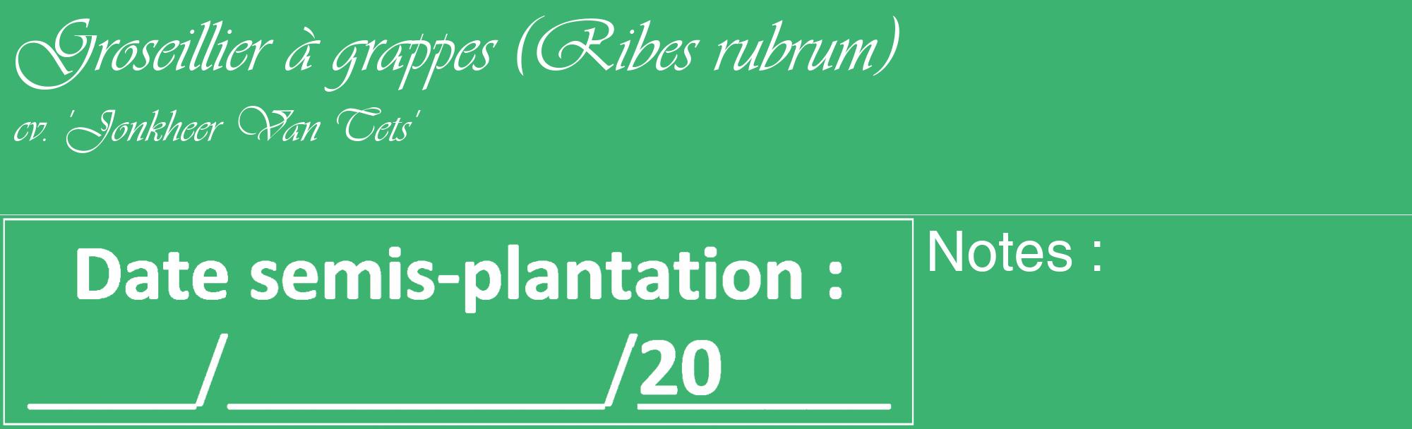 Étiquette de : Ribes rubrum cv. 'Jonkheer Van Tets' - format c - style blanche12_basique_basiqueviv avec comestibilité