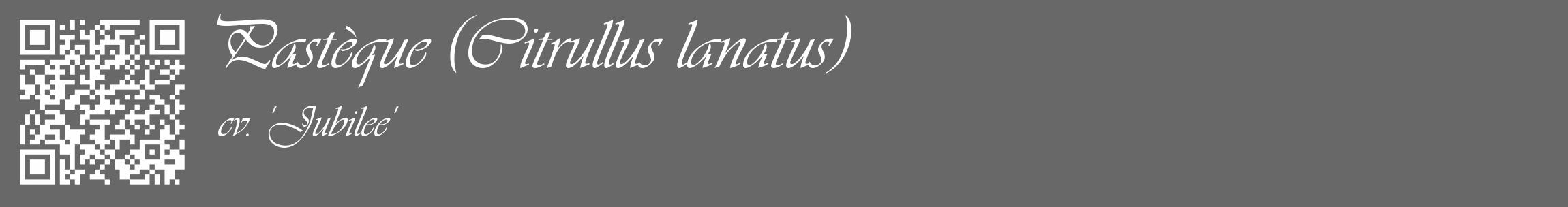 Étiquette de : Citrullus lanatus cv. 'Jubilee' - format c - style blanche6_basique_basiqueviv avec qrcode et comestibilité