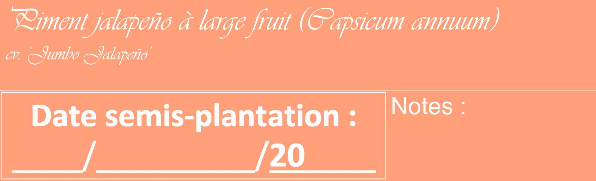 Étiquette de : Capsicum annuum cv. 'Jumbo Jalapeño' - format c - style blanche39_basique_basiqueviv avec comestibilité
