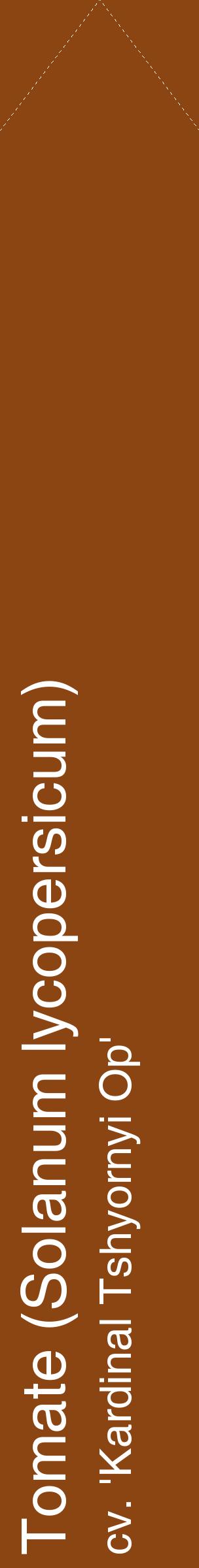 Étiquette de : Solanum lycopersicum cv. 'Kardinal Tshyornyi Op' - format c - style blanche30_simplehel avec comestibilité