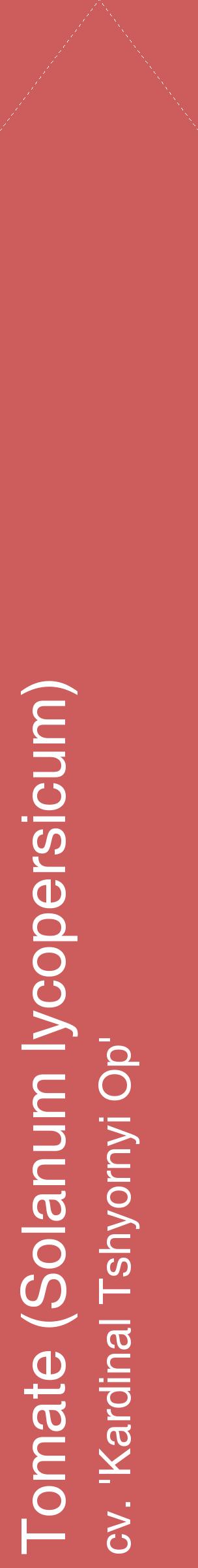Étiquette de : Solanum lycopersicum cv. 'Kardinal Tshyornyi Op' - format c - style blanche35_simplehel avec comestibilité