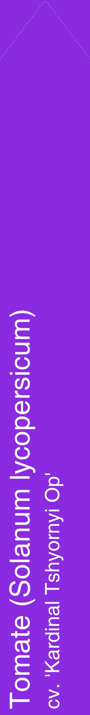 Étiquette de : Solanum lycopersicum cv. 'Kardinal Tshyornyi Op' - format c - style blanche49_simplehel avec comestibilité