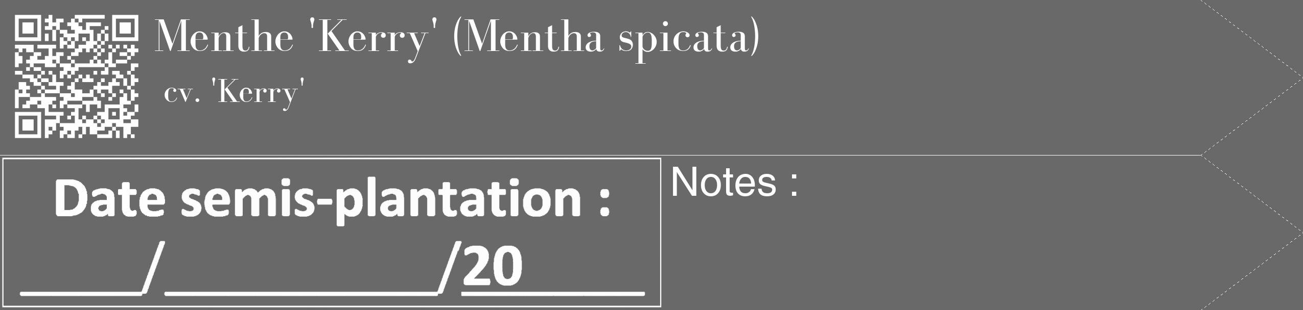 Étiquette de : Mentha spicata cv. 'Kerry' - format c - style blanche51_simple_simplebod avec qrcode et comestibilité