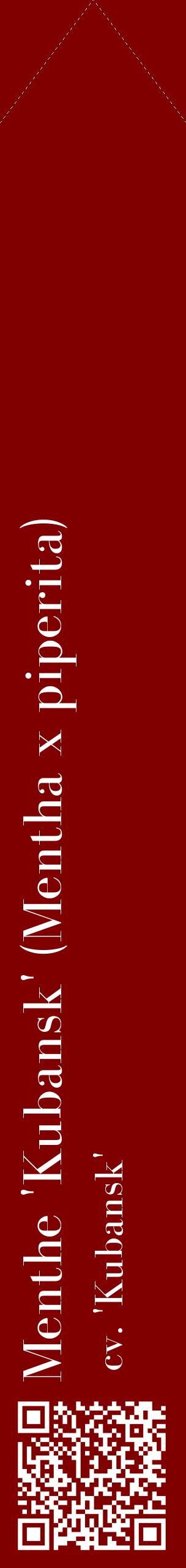 Étiquette de : Mentha x piperita cv. 'Kubansk' - format c - style blanche29_simplebod avec qrcode et comestibilité