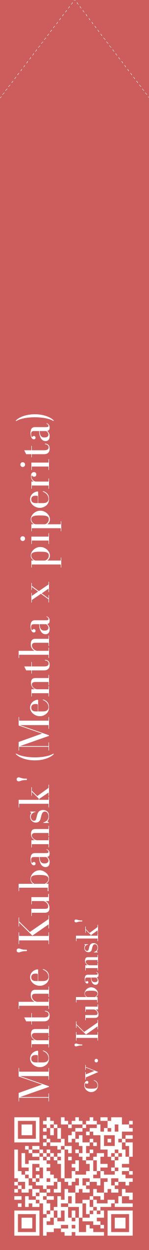 Étiquette de : Mentha x piperita cv. 'Kubansk' - format c - style blanche35_simplebod avec qrcode et comestibilité