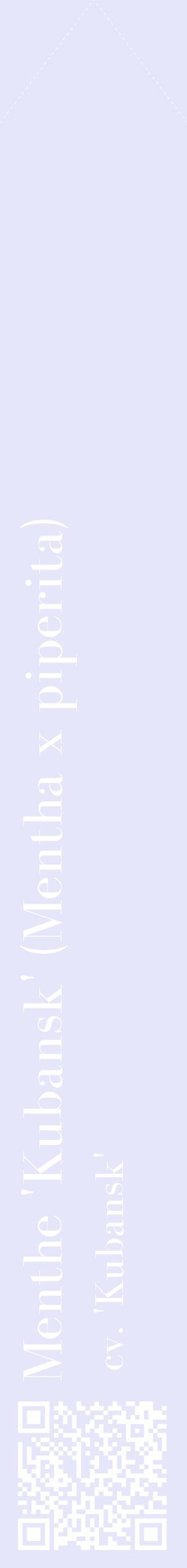 Étiquette de : Mentha x piperita cv. 'Kubansk' - format c - style blanche55_simplebod avec qrcode et comestibilité