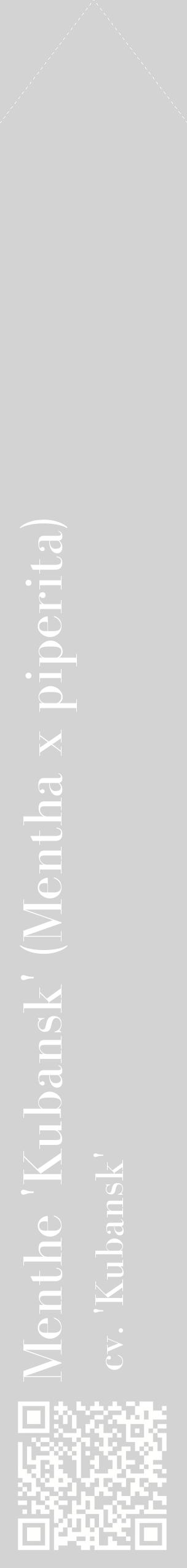 Étiquette de : Mentha x piperita cv. 'Kubansk' - format c - style blanche56_simplebod avec qrcode et comestibilité