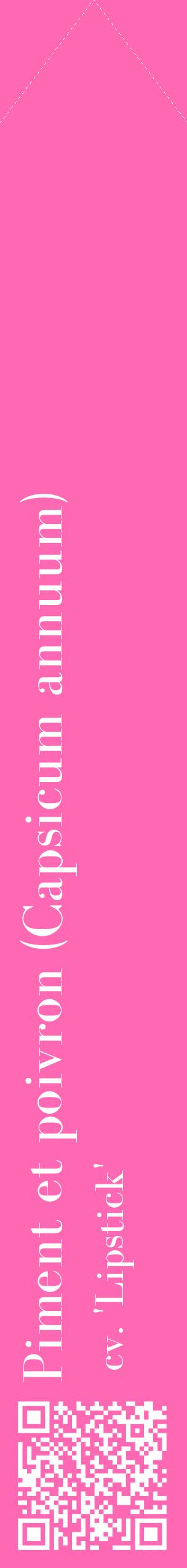 Étiquette de : Capsicum annuum cv. 'Lipstick' - format c - style blanche42_simplebod avec qrcode et comestibilité