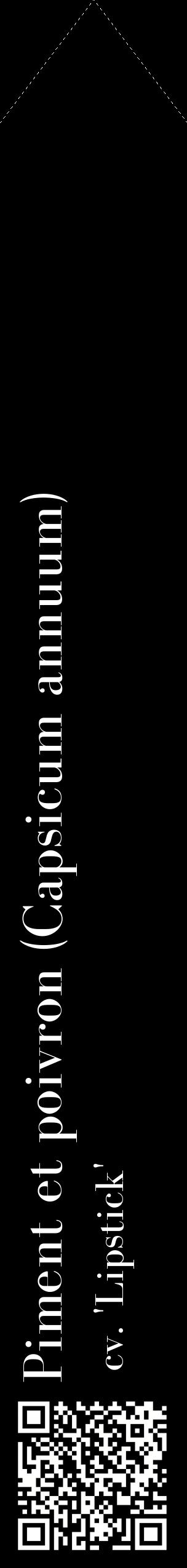 Étiquette de : Capsicum annuum cv. 'Lipstick' - format c - style blanche59_simplebod avec qrcode et comestibilité