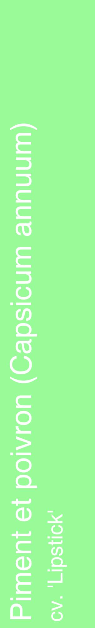 Étiquette de : Capsicum annuum cv. 'Lipstick' - format c - style blanche14_basiquehel avec comestibilité