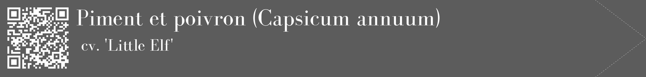 Étiquette de : Capsicum annuum cv. 'Little Elf' - format c - style blanche49_simple_simplebod avec qrcode et comestibilité