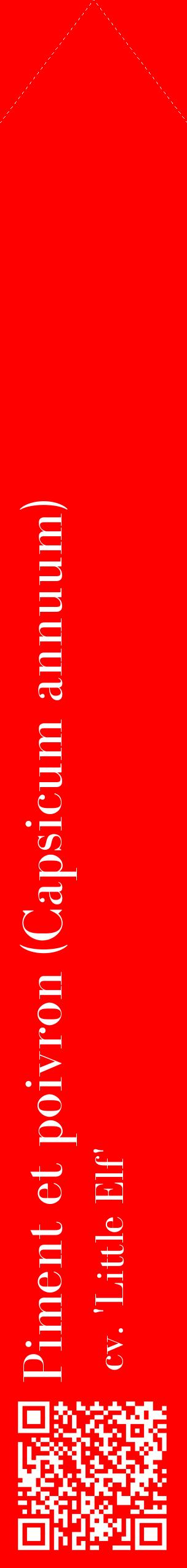 Étiquette de : Capsicum annuum cv. 'Little Elf' - format c - style blanche27_simplebod avec qrcode et comestibilité