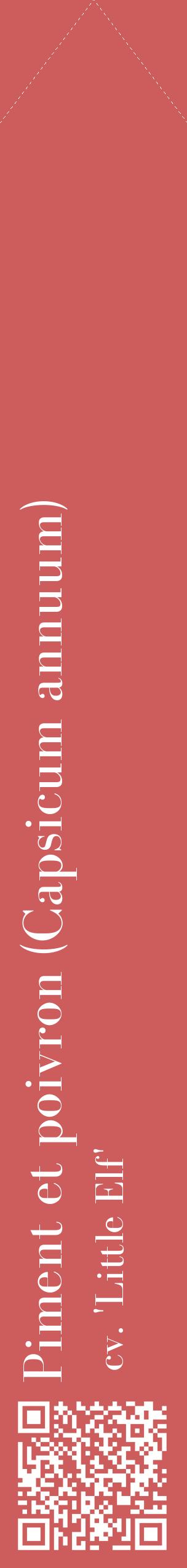 Étiquette de : Capsicum annuum cv. 'Little Elf' - format c - style blanche35_simplebod avec qrcode et comestibilité
