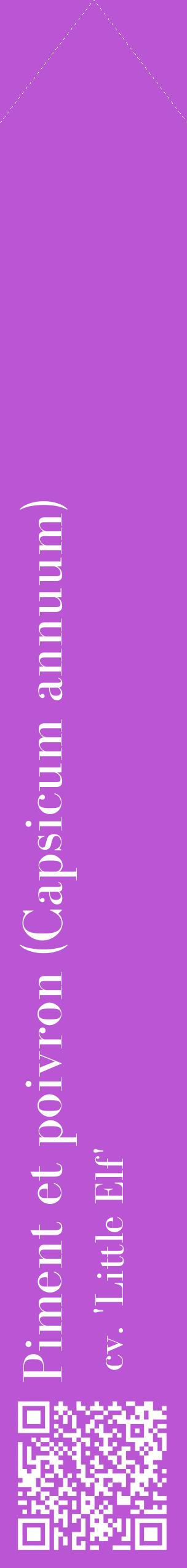 Étiquette de : Capsicum annuum cv. 'Little Elf' - format c - style blanche50_simplebod avec qrcode et comestibilité