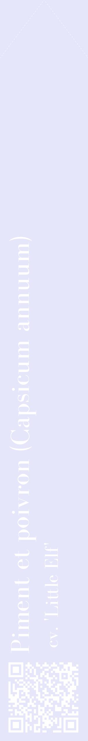 Étiquette de : Capsicum annuum cv. 'Little Elf' - format c - style blanche55_simplebod avec qrcode et comestibilité