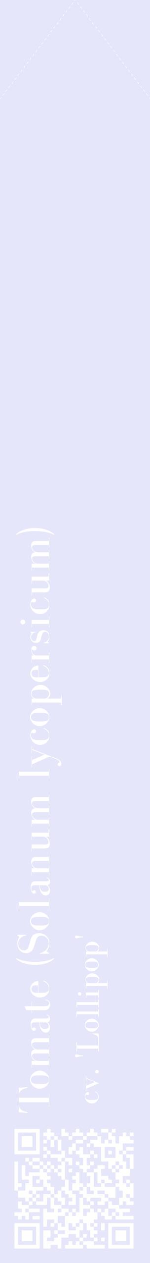 Étiquette de : Solanum lycopersicum cv. 'Lollipop' - format c - style blanche55_simplebod avec qrcode et comestibilité