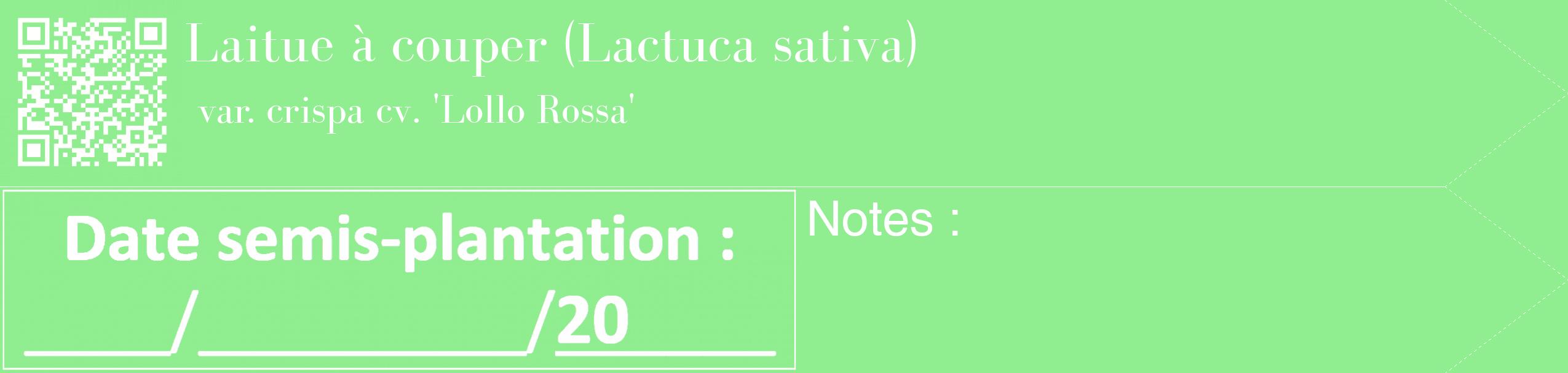 Étiquette de : Lactuca sativa var. crispa cv. 'Lollo Rossa' - format c - style blanche15_simple_simplebod avec qrcode et comestibilité