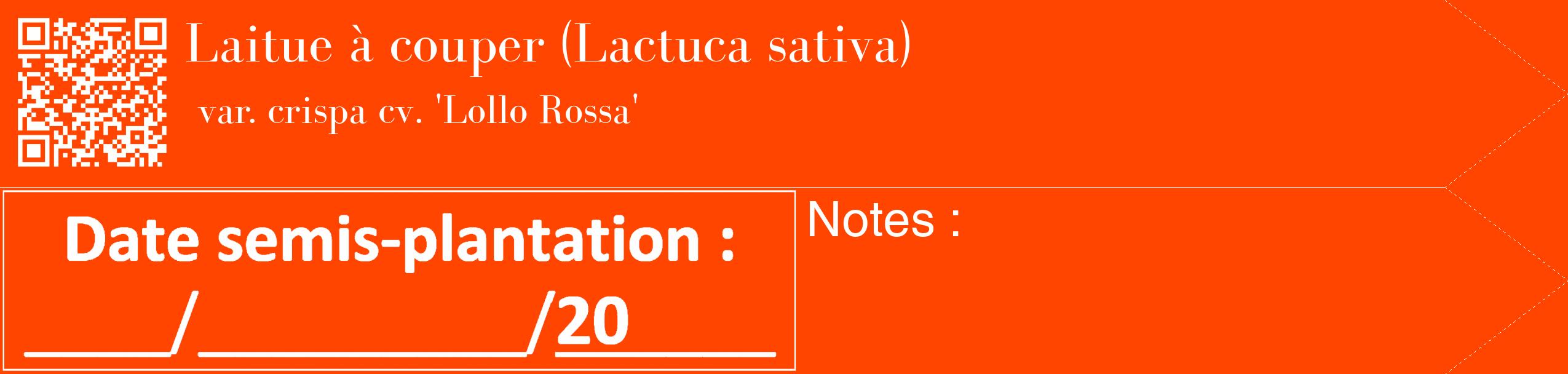 Étiquette de : Lactuca sativa var. crispa cv. 'Lollo Rossa' - format c - style blanche26_simple_simplebod avec qrcode et comestibilité