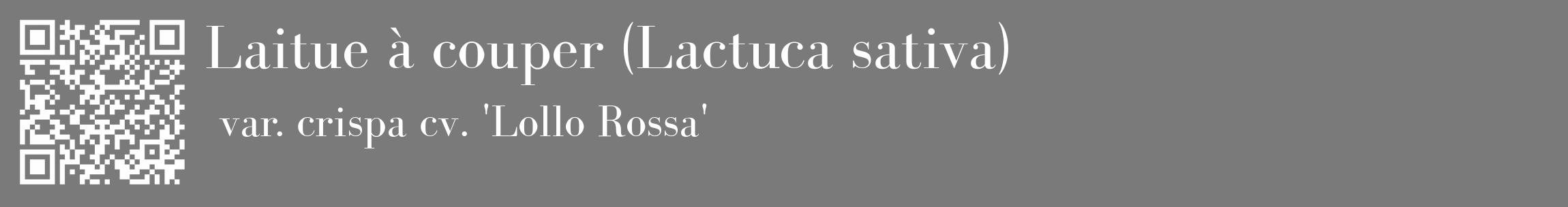 Étiquette de : Lactuca sativa var. crispa cv. 'Lollo Rossa' - format c - style blanche3_basique_basiquebod avec qrcode et comestibilité
