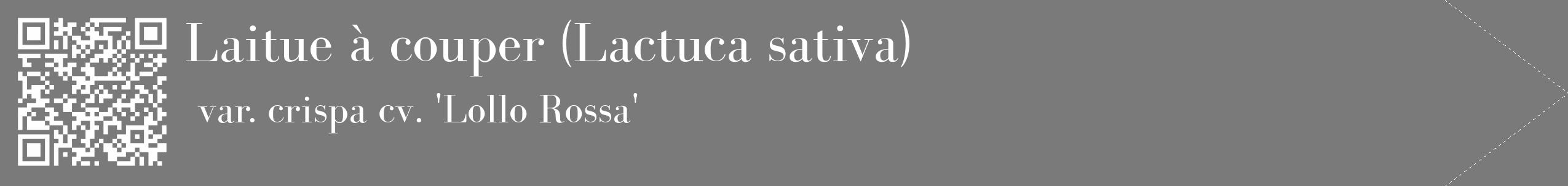 Étiquette de : Lactuca sativa var. crispa cv. 'Lollo Rossa' - format c - style blanche3_simple_simplebod avec qrcode et comestibilité